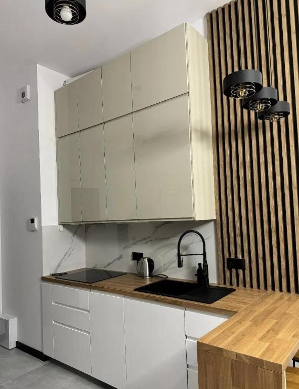 Rentpoland Wiktoryn Studio Leilighet Warszawa Eksteriør bilde